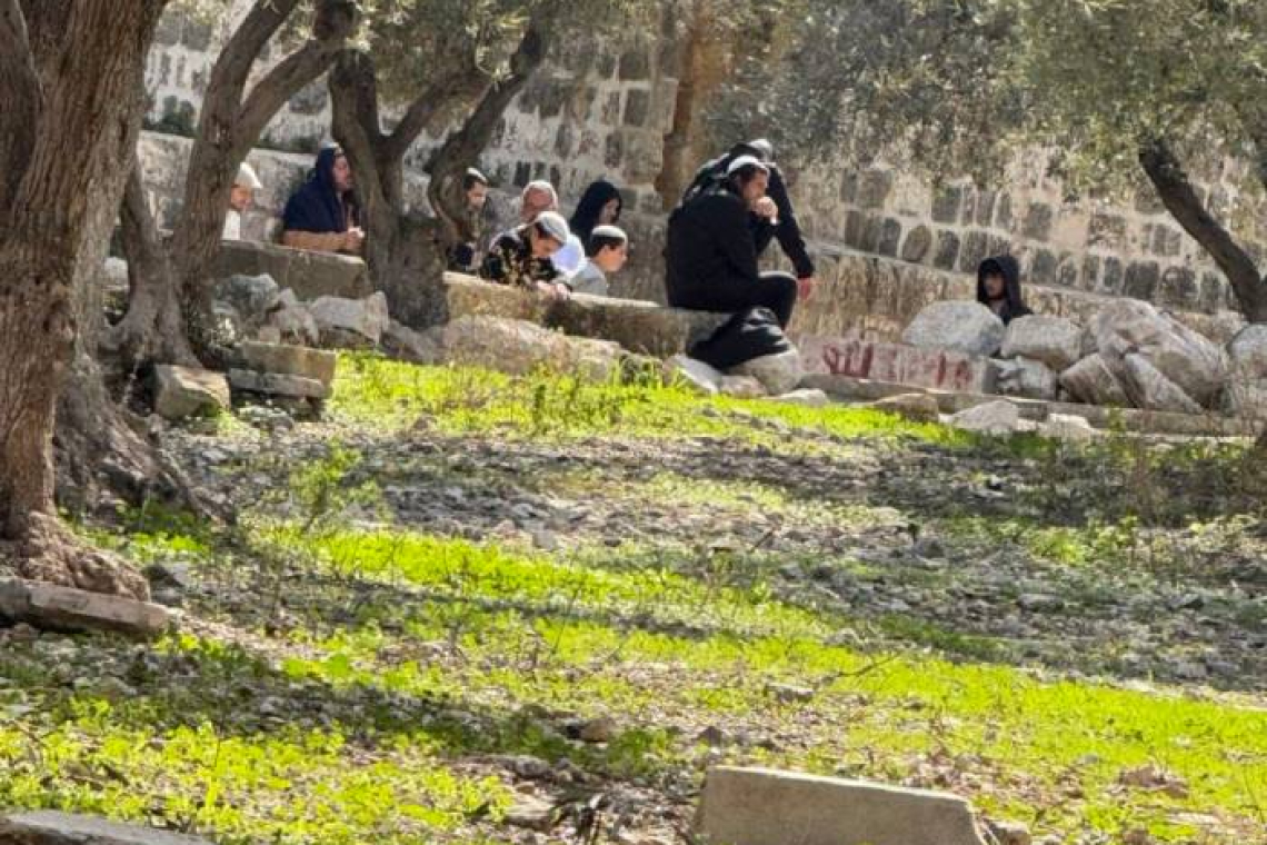 عاجل | مستوطنون يقتحمون المسجد الأقصى بحماية قوات الاحتلال